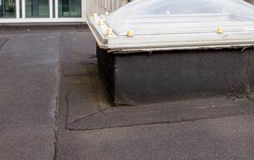 disadvantages of South Newsham flat roofs