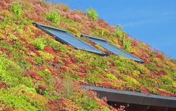 South Newsham living roof systems