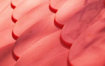 South Newsham plastic roof costs