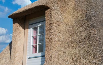 South Newsham thatch roof disadvantages