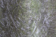 South Newsham fibreglass roof work