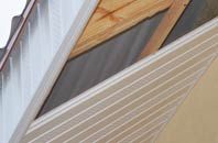 rated South Newsham soffit repair companies